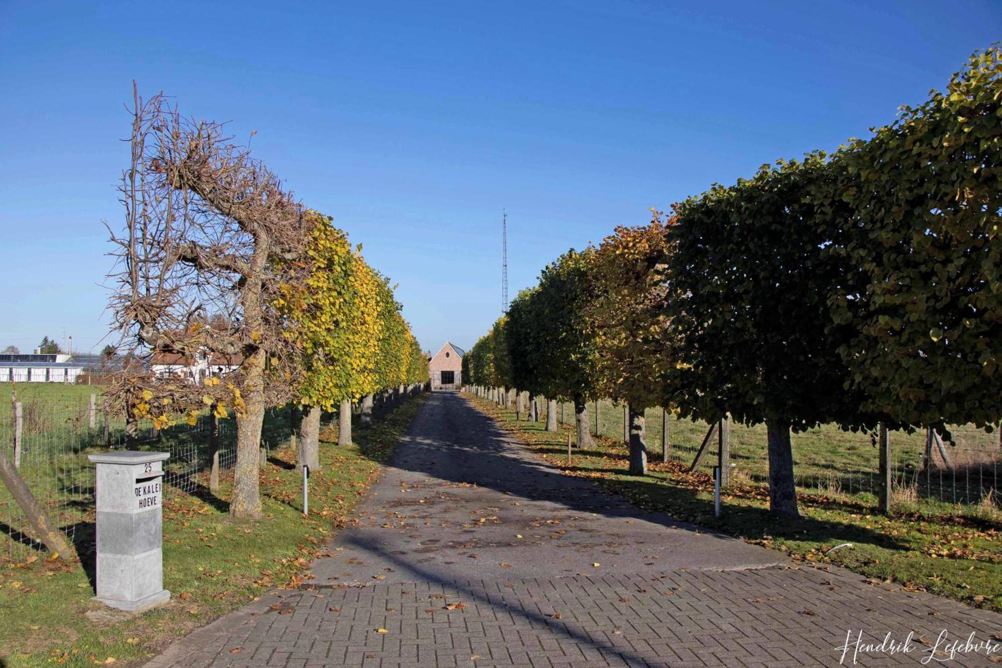 De Kaleihoeve Bavikhove Exterior photo