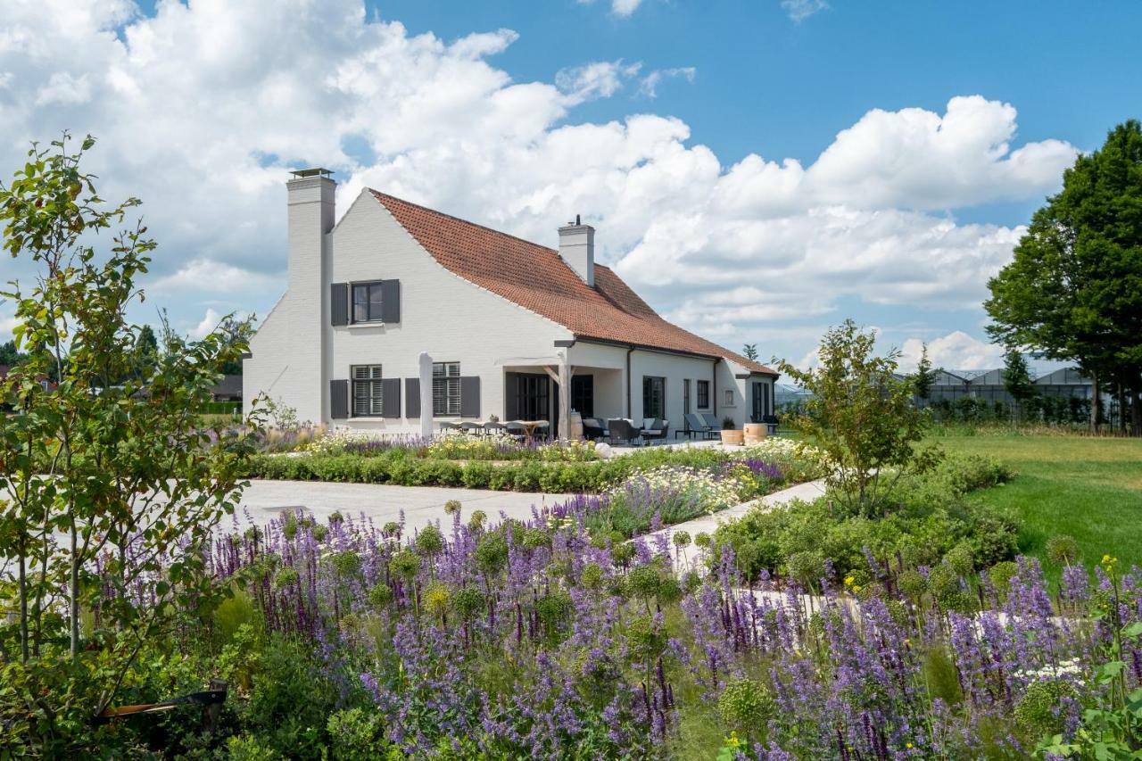 De Kaleihoeve Bavikhove Exterior photo